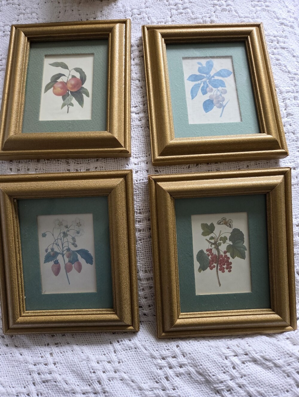 Gold Botanical Picture Frame Set with Teal Mats - Home Accents